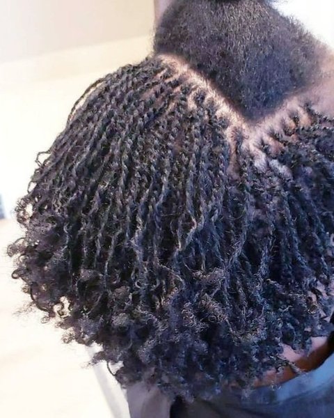 Microlocks 