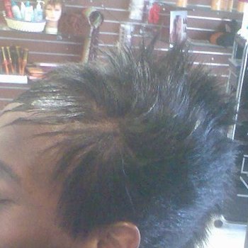 model de coupe  tectonic