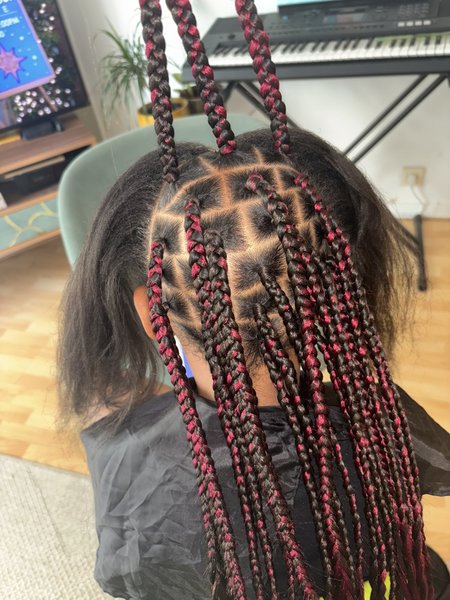 Natte colérique et braid à l’arrière sur cheveux lisse