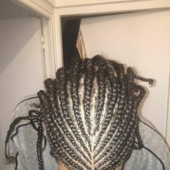 Nattes tresses renversées symétriques