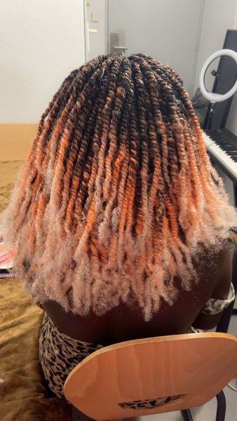 Petit Twist 