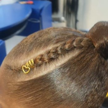 Pony Tail