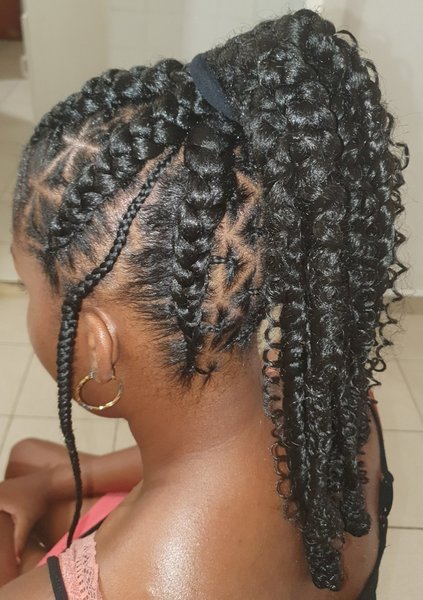 Ponytails braids