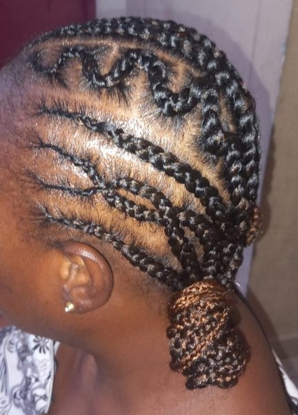 Ponytails braids