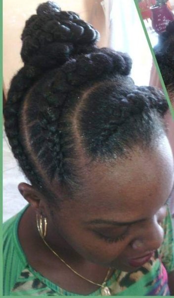 Ponytails braids