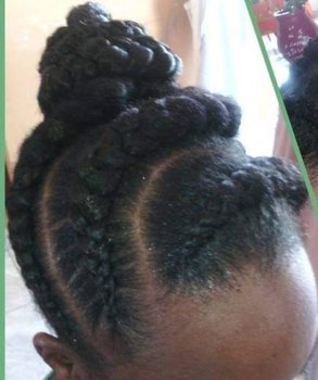 Ponytails braids