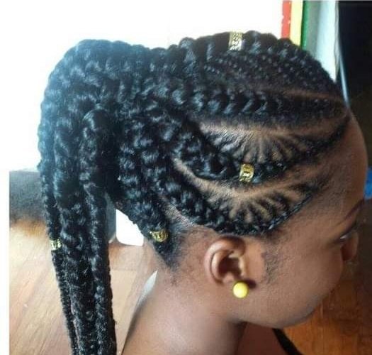 Ponytails braids