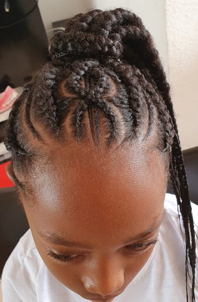 Ponytails braids
