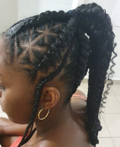Ponytails braids