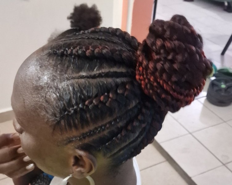 Ponytails braids
