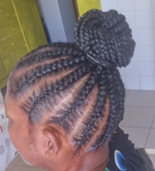 Ponytails braids