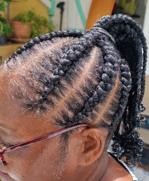 Ponytails braids