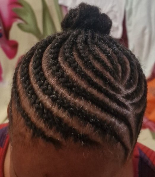 Ponytails braids