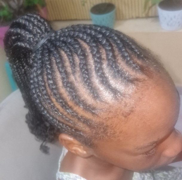 Ponytails braids