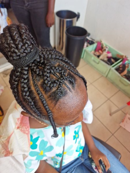 Ponytails braids