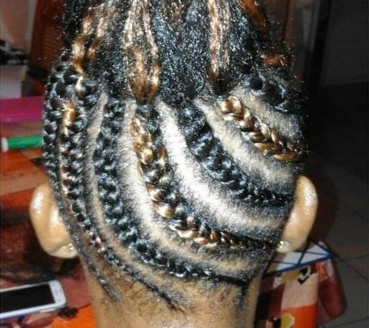 Ponytails braids