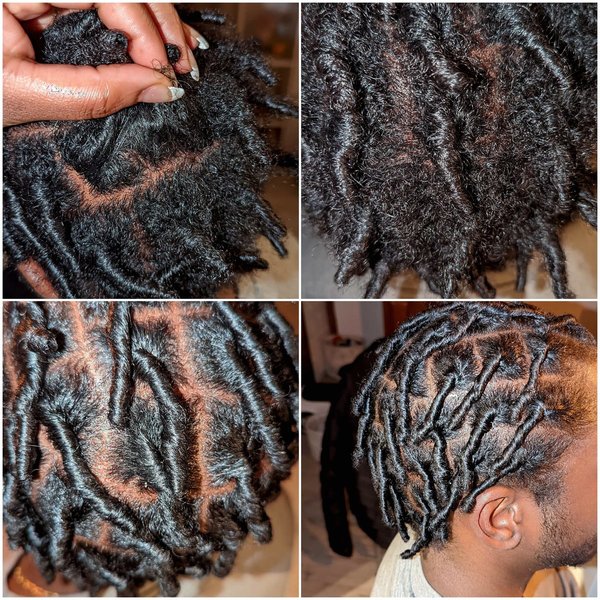 Reprise racines Twist