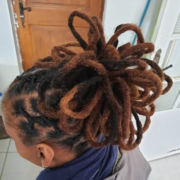 Reprise racines Twist
