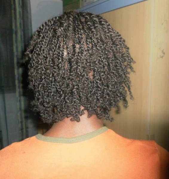Tresses devant, vanilles derrière 1