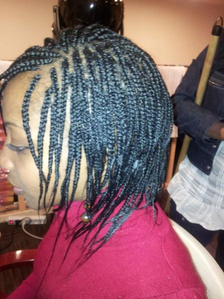 Tresses Patra, tresses nattes rasta