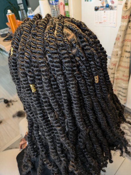 Twist braids