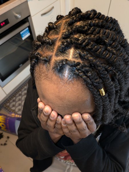 Twist braids