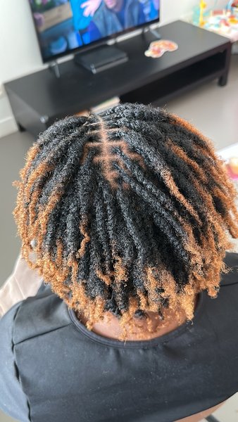 Twist 