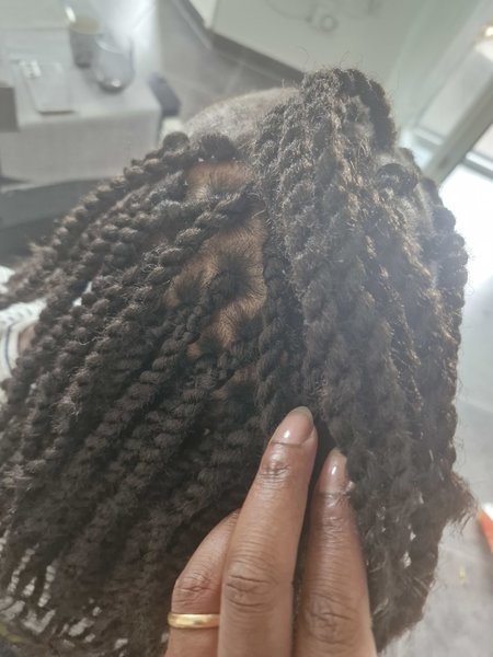Vanilles avec extensions 