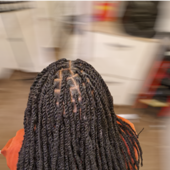 Vanilles /twist