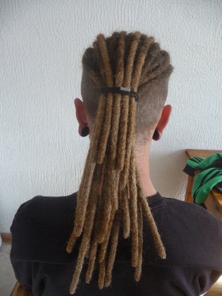web photos dreadlocks extensions greffes