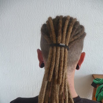 web photos dreadlocks extensions greffes
