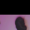 Aysha 