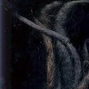 Naughty Dreadz