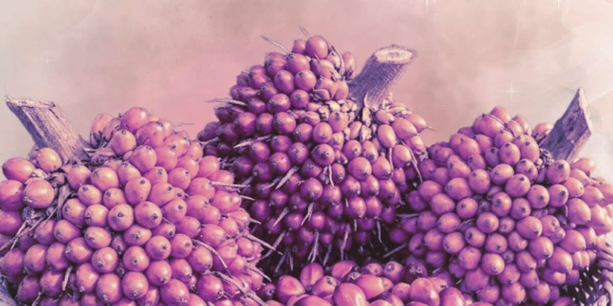 L'huile de batana pour la pousse : top 10 des conseils