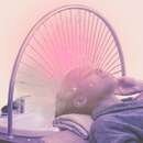 What Exactly Is a Head Spa?