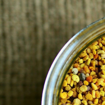 Cabello cansado y dañado: ¡haz una cura de polen!