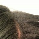 transition capillaire transition capillaire