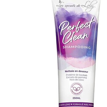 perfect_clean_les_secrets_de_loly